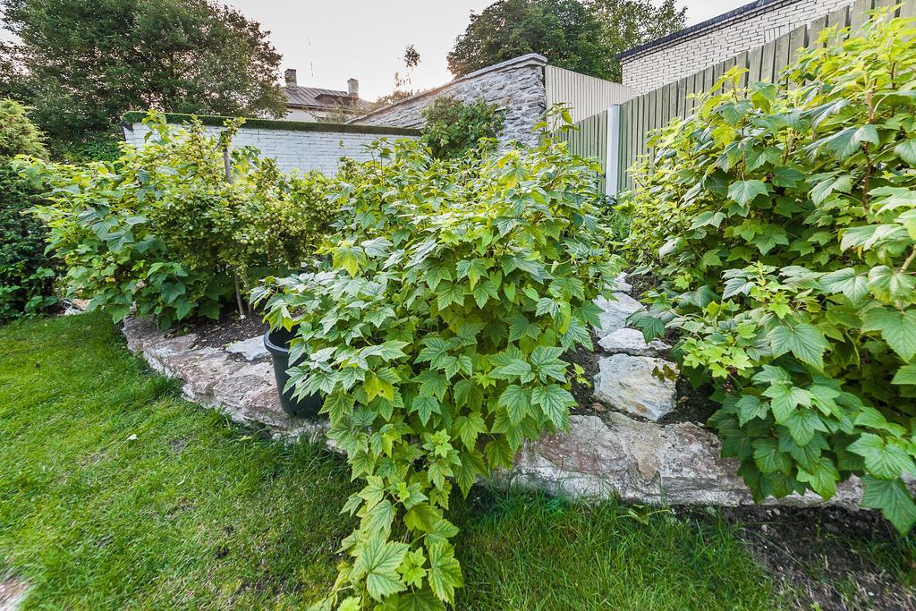 City Center Garden Camping Tallinn Luaran gambar